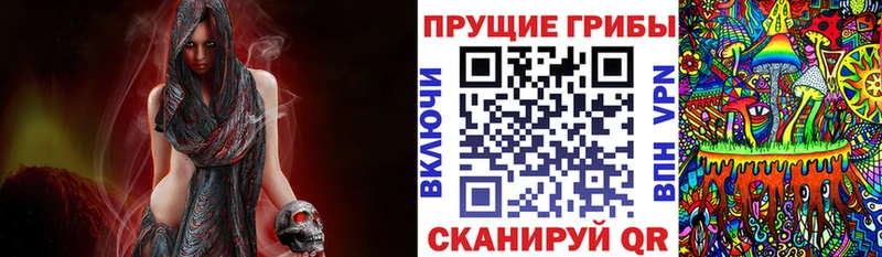 Псилоцибиновые грибы Magic Shrooms  Гаврилов Посад 